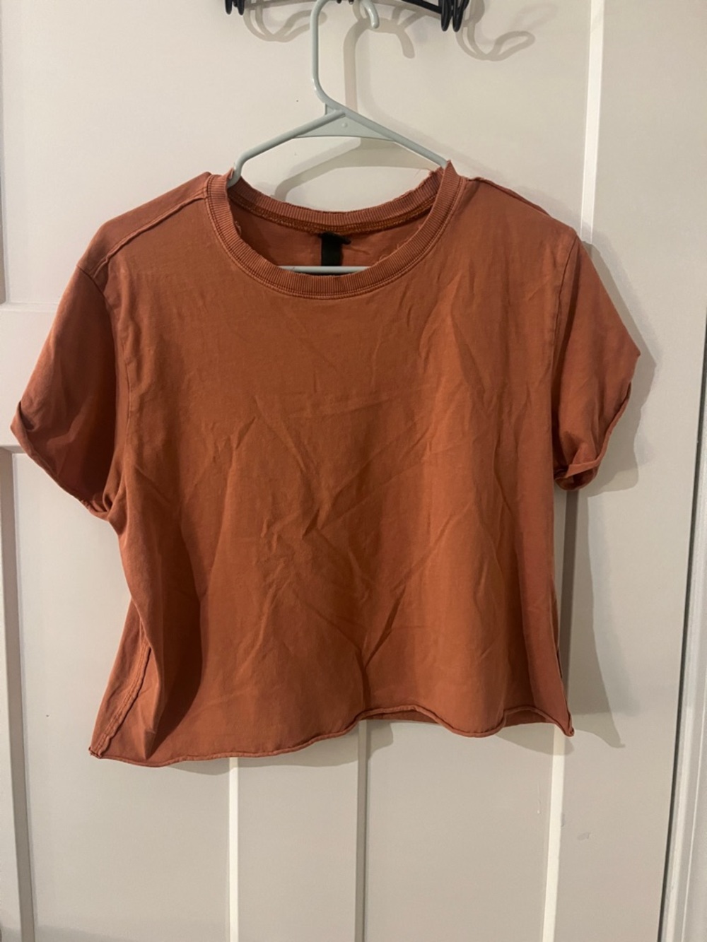 wild fable Rust Crop Tee